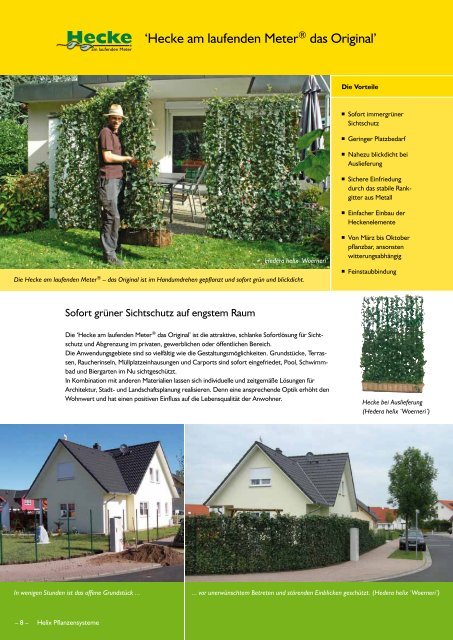 Katalog 'Grüne Fertiglösungen' - Bodendecker am laufenden Meter