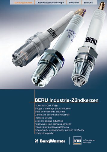 BERU Industrie-Zündkerzen - BorgWarner BERU Systems GmbH