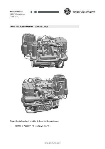 MPE 750 Turbo Marine - Closed Loop - Weber Motor: Weber Motor