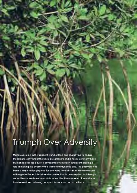 Triumph Over Adversity Announcements Bursa Malaysia