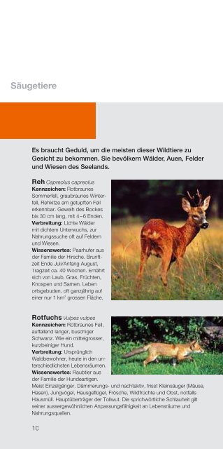 Informationen zur Natur und Tierwelt rund um das ... - BKW