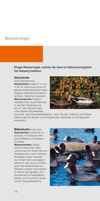 Informationen zur Natur und Tierwelt rund um das ... - BKW