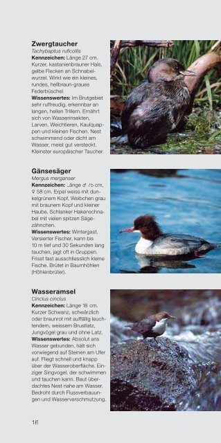 Informationen zur Natur und Tierwelt rund um das ... - BKW