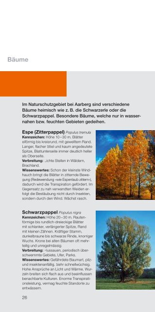 Informationen zur Natur und Tierwelt rund um das ... - BKW