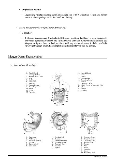 Pharmakologischer Demonstrationskurs