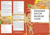 Ausgabe Nr. 43 September 2012 - Bündner Naturmuseum