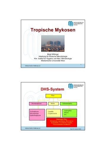 8-Tropische Pilzinfektionen_Willinger.pdf