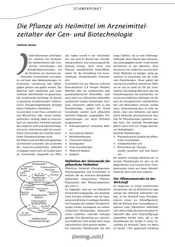 ebook ludwig wittgenstein la vita di un maestro