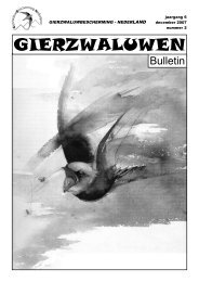 korte berichten - Gierzwaluwbescherming Nederland
