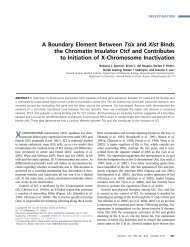 A Boundary Element Between Tsix and Xist Binds the ... - Genetics