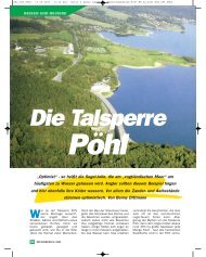 Die Talsperre Pöhl - Raubfisch