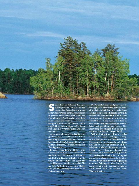 Småland/Schweden Hummeln Im Bauch