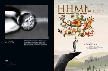 HHMI BULLETIN | February 2008 - Howard Hughes Medical Institute