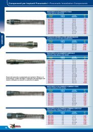 Rilsan® PA11 Superflexible type tubing - ZEC