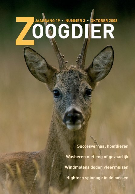 Wasberen zijn niet eng of gevaarlijk! - Nieuw in de Zoogdierwinkel