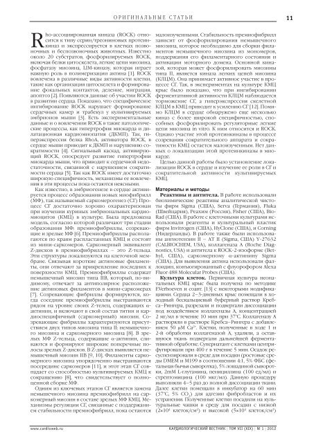 PDF 2 MB - Consilium Medicum