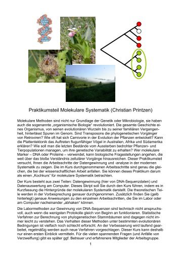 Praktikumsteil Molekulare Systematik (Christian Printzen)