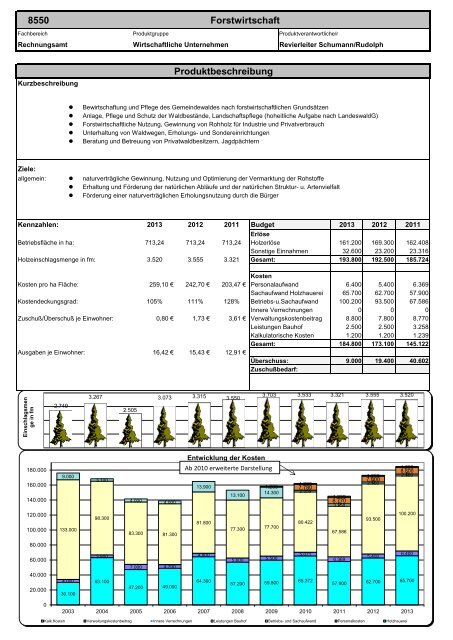 Haushaltsplan 2013 (PDF) - Gemeinde Sinzheim