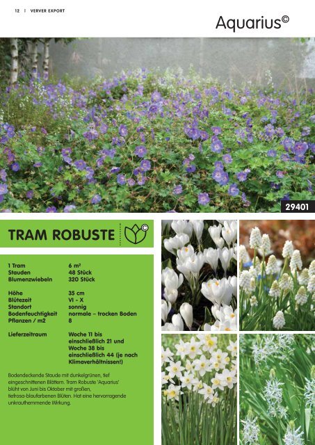 Tram Robuste Katalog