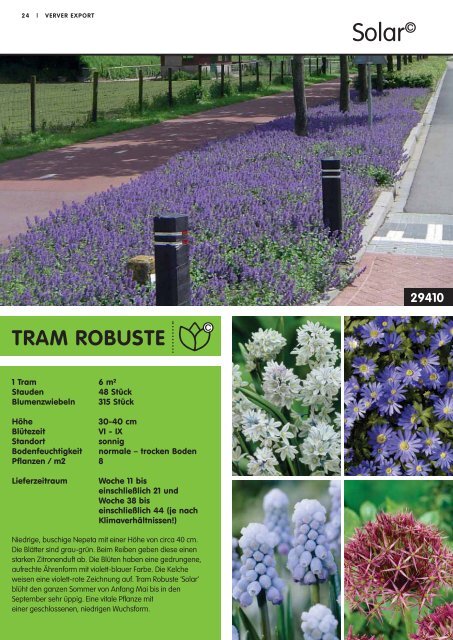 Tram Robuste Katalog