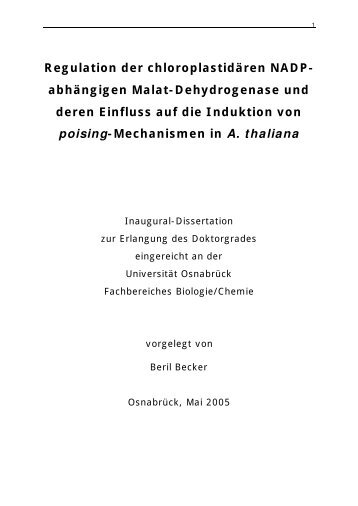 Regulation der chloroplastidären NADPabhängigen Malat ...