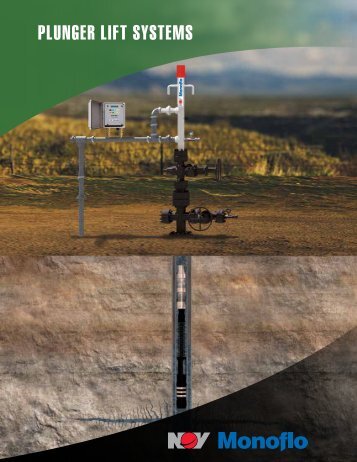 PLUNGER LIFT SYSTEMS - National Oilwell Varco