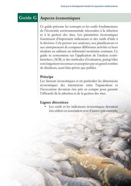 Guide A - Ministerio de Agricultura, Alimentación y Medio Ambiente