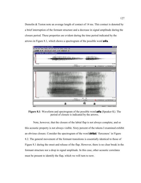 the university of chicago the phonology and ... - SIL International