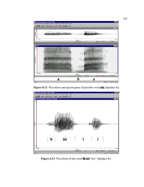 the university of chicago the phonology and ... - SIL International