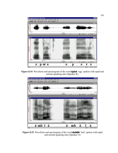 the university of chicago the phonology and ... - SIL International