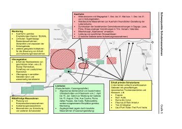 Schwerpunkte Schutzmassnahmen Grafik 5