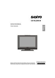 CE19LD95-B Instruction Manual - Sanyo