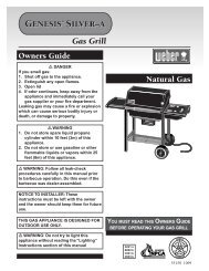 Genesis Silver A NG Owners Guide 55158 10/1999 PDF File