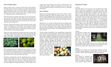 Papayas - Guyana Marketing Corporation