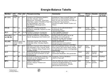 Energie-Balance Tabelle - PraNeoHom