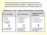 Phytopharmaka werden zur symptomatischen Therapie - Pzf.de