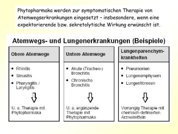 Phytopharmaka werden zur symptomatischen Therapie - Pzf.de