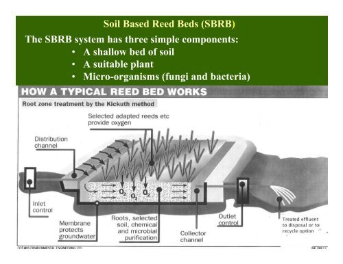 Soil Based Reed Beds