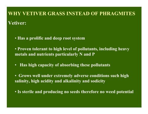 Soil Based Reed Beds