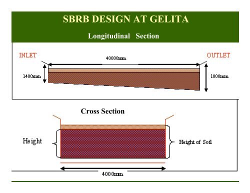 Soil Based Reed Beds