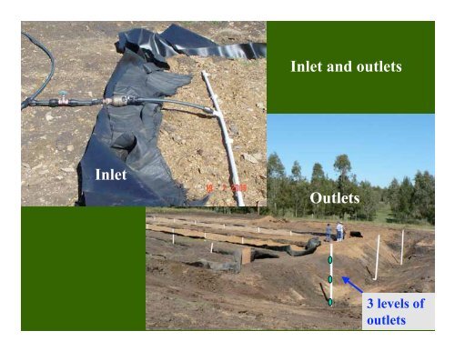 Soil Based Reed Beds