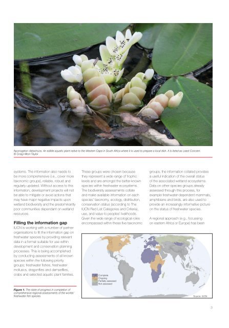 Freshwater Biodiversity – a hidden resource under threat - IUCN