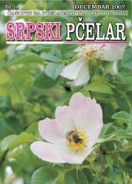 srpski pcelar inter - Beekeeping Dragoslav