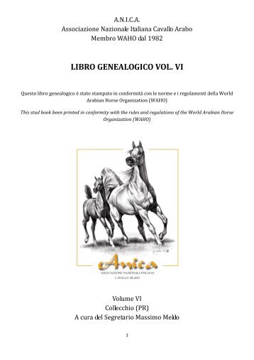 LIBRO GENEALOGICO VOL. VI - ANICA