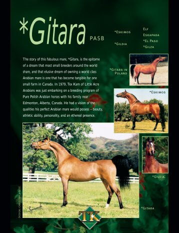 Gitara PDF - Maplewood Farms