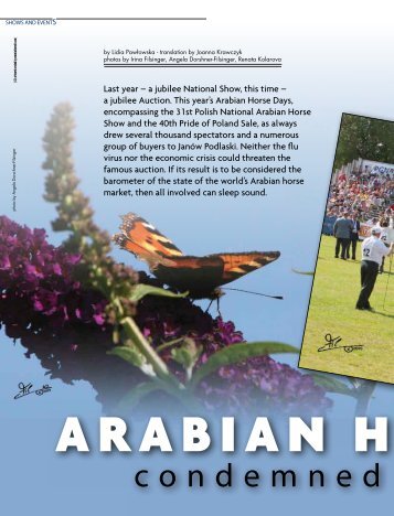 ArAbiAn Horse DAy - Tutto Arabi Magazine - home