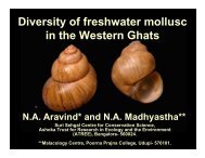 Diversity of freshwater mollusc in the Western Ghats - CES (IISc)