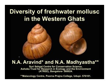 Diversity of freshwater mollusc in the Western Ghats - CES (IISc)