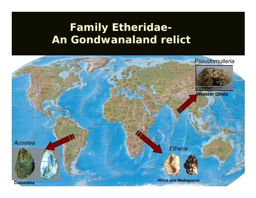 Diversity of freshwater mollusc in the Western Ghats - CES (IISc)