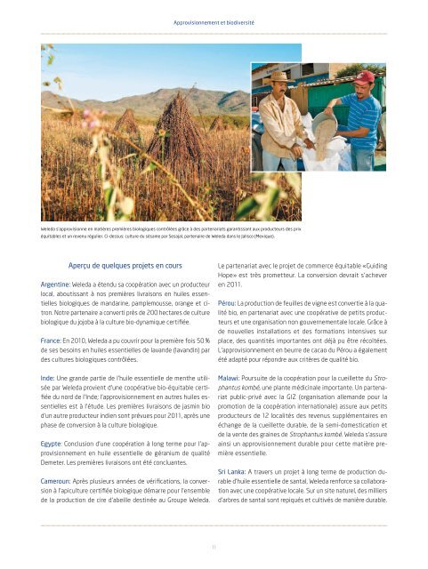 Rapport de développement durable 2010 - Weleda